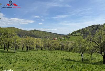 Spațiu comercial, în Valea Vințului - 10