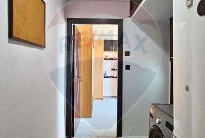 Apartament cu 2 camere nedecomandat în Malu Roșu