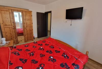 Apartament cu 2 camere decomandat, mobilat în Sânpetru - 8