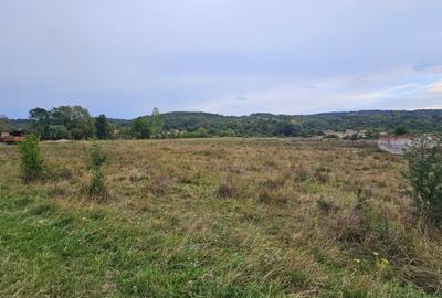 Teren Construcții intravilan de 47430 mp, în Petriș - 5