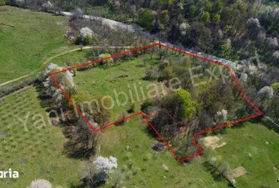 Teren de 15856 mp, în Valea Iașului - 5