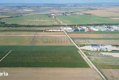 Teren de 66400 mp, în Central - 11