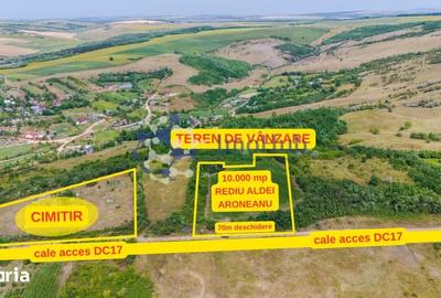 Teren de 10000 mp, în Aroneanu - 3
