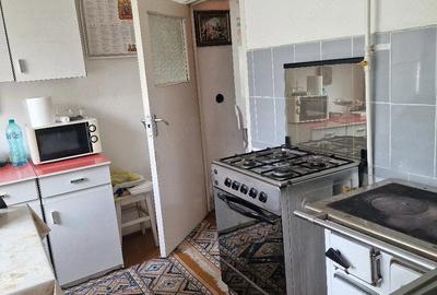 Casă cu 2 camere cu Teren 330 Mp în Lunei - 1