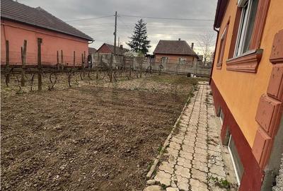 Casă cu 3 camere cu Teren 500 Mp în Biharia - 9