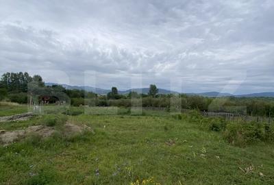 Teren de 44000 mp, în Central