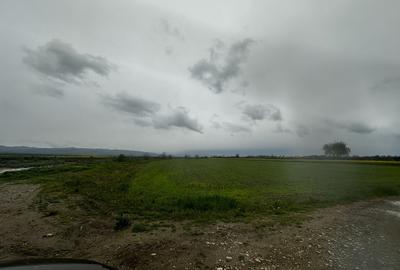 Teren Construcții extravilan de 2500 mp, în Câmpineanca - 3