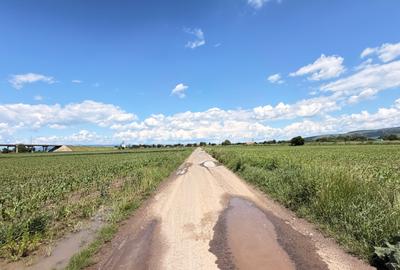 Teren agricol extravilan de 11671 mp, în Ozun - 5