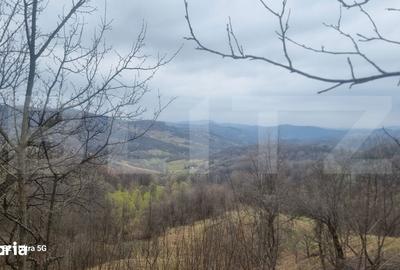 Teren de 3781 mp, în Izvoarele - 9