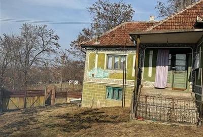 Casă individuală cu 4 camere cu Teren 6240 Mp în Valea Crișului - 2