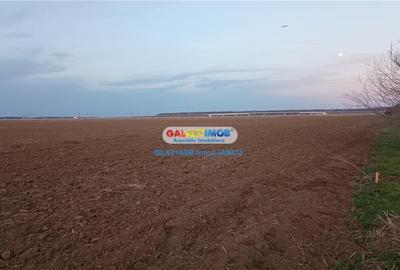 Teren de 3544 mp, în Tunari