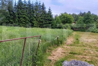 Teren Construcții intravilan de 1755 mp, în Făget