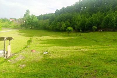 Teren de 5500 mp, în Drăganu - 5