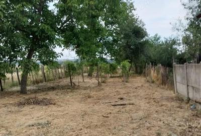 Casă cu 3 camere în Scăești - 5