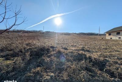 Teren de 10000 mp, în Săucești