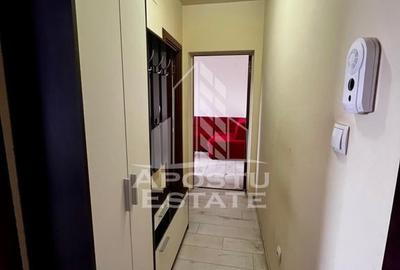 Apartament cu 2 camere semidecomandat, mobilat în Bucovina - 8
