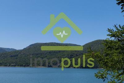 Teren extravilan de 20720 mp, în Cinciș-Cerna - 2