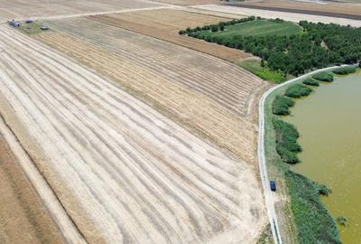 Teren Construcții extravilan de 6500 mp, în Frumușani - 9