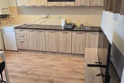 Apartament cu 2 camere decomandat, mobilat în Iosefin - 7