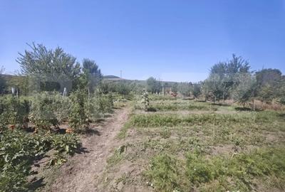Casă cu 3 camere cu Teren 1356 Mp în Central
