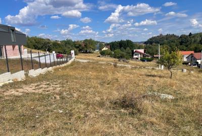 Spațiu comercial, în Cisnădioara