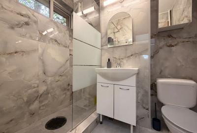 Apartament cu 2 camere, mobilat în Berceni - 14