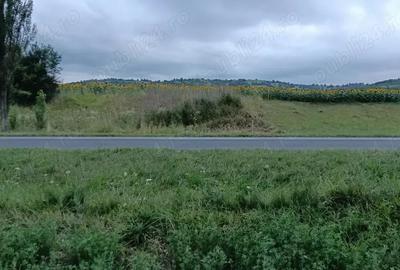 Teren de 2030 mp, în Dofteana - 1