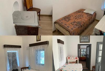 Casă cu 3 camere cu Teren 1500 Mp în Troianul - 2