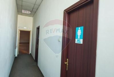 Birou, de 2,100 mp, în Valea Rosie - 14