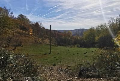 Teren de 2500 mp, în Vitioara de Sus - 3