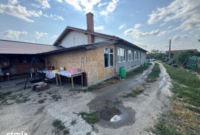 Casă cu 4 camere cu Teren 3000 Mp în Doba - 4