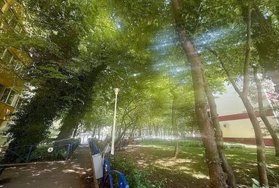 Apartament cu 3 camere decomandat în Berceni - 11
