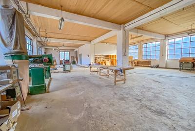 Spațiu industrial, de 1,473 mp, în Tulgheș - 13