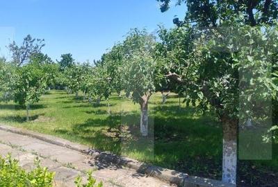 Casă cu 2 camere în Cucorăni - 11