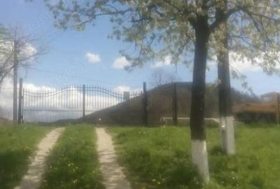 Casă cu 3 camere cu Teren 2100 Mp în Criș