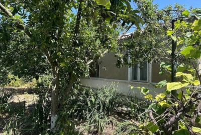 Casă cu Teren 14000 Mp în Bărăganul