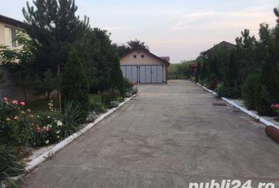 Teren de 1000 mp, în Glina - 5