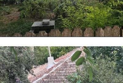 Casă cu 3 camere în Coșești - 14