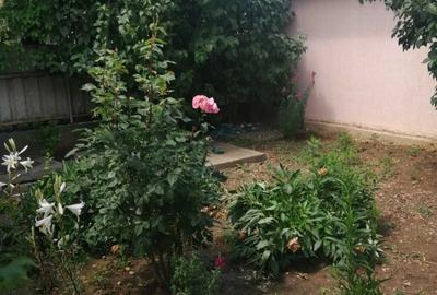 Casă cu 4 camere în Golești - 6