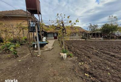 Casă cu 4 camere semidecomandat cu Teren 139 Mp în Vădăstrița - 3