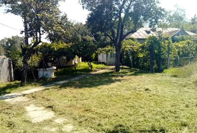 Casă cu Teren 2520 Mp în Moreni - 10