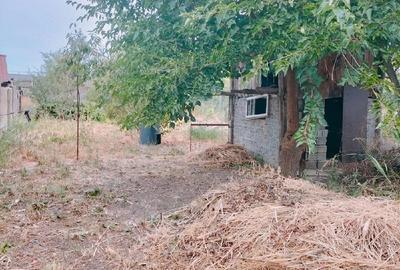 Casă cu Teren 691 Mp în Leu