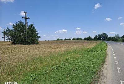 Teren de 10000 mp, în Tunari - 2