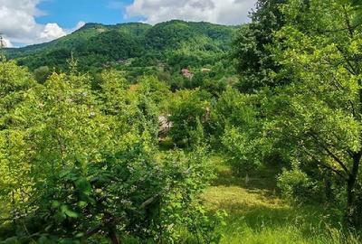 Teren de 800 mp, în Ibănești - 5