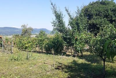 Casă cu 4 camere în Valea Nucului - 8