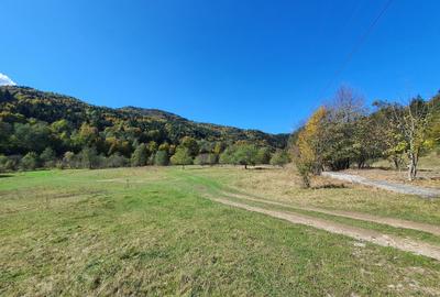 Teren agricol extravilan de 9000 mp, în Babarunca - 4