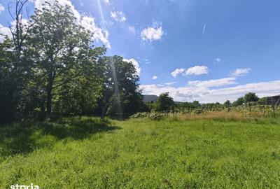 Teren de 2000 mp, în Dăești - 7