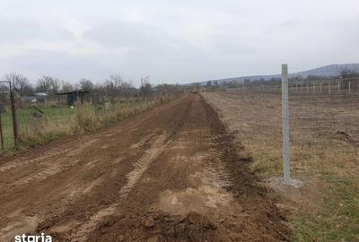 Teren de 8071 mp, în Lipănești - 5