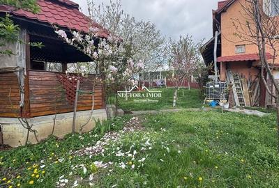 Casă cu 3 camere cu Teren 757 Mp în Nojorid - 19