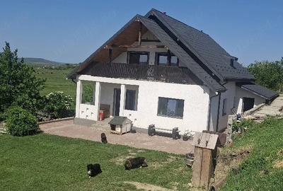 Casă cu Teren 2860 Mp în Țigănași - 3